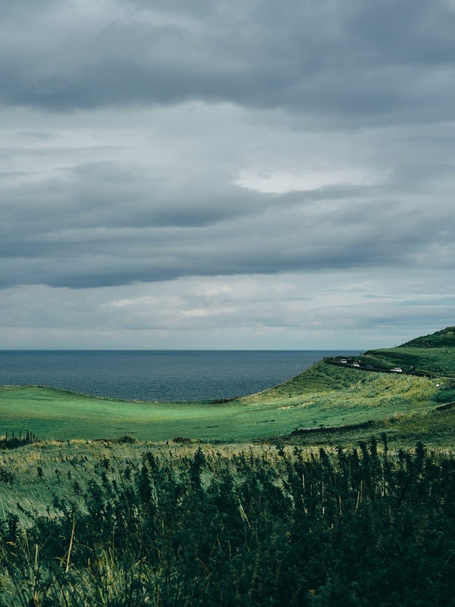 Northern Ireland coastline